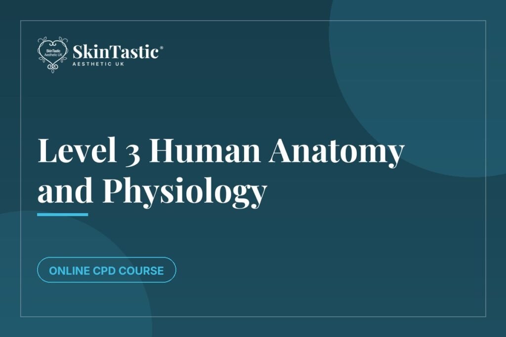 Level 3 Human Anatomy and Physiology course at Skintastic Academy