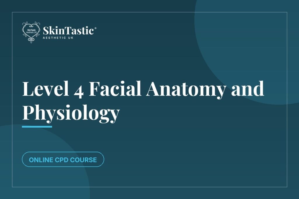 Level 4 Facial Anatomy and Physiology course at Skintastic Academy